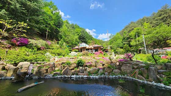돌무지전통찻집 · 네이버 지도·플레이스 8