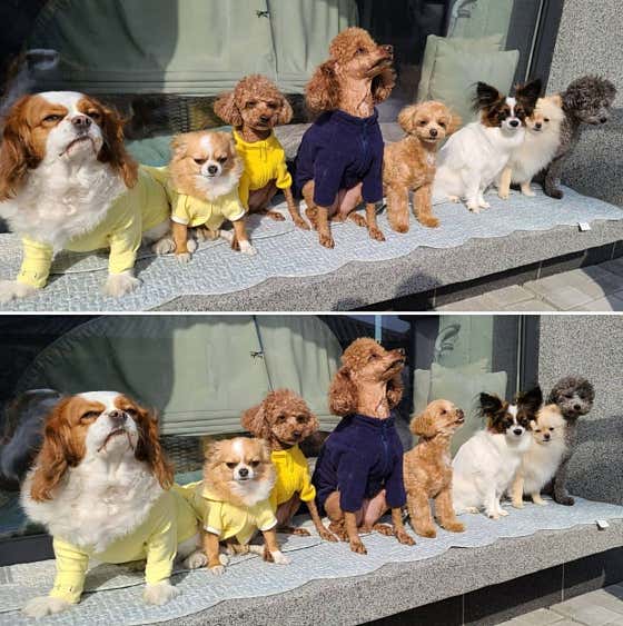 멍스테이션 · 네이버 지도·플레이스 3