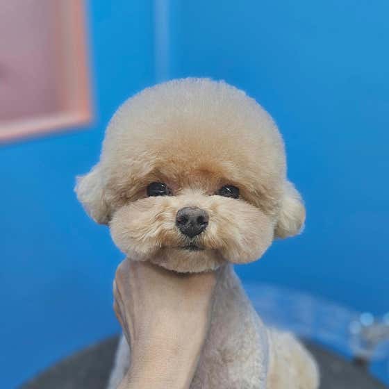 오늘도예쁘개 · 네이버 지도·플레이스 7