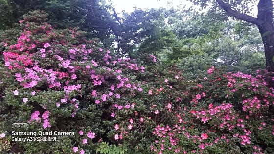 지리산햇살 · 네이버 지도·플레이스 6