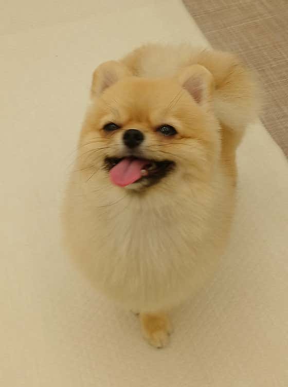 끌레르 · 네이버 지도·플레이스 10