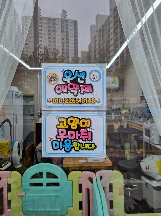 멍멍이야옹이미용실쥬티펫효동점 · 네이버 지도·플레이스 2