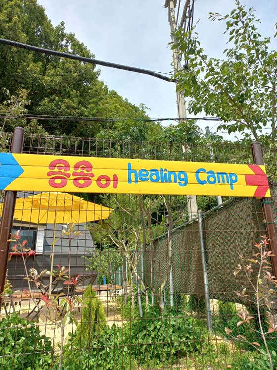콩콩힐링캠프 · 네이버 지도·플레이스 1