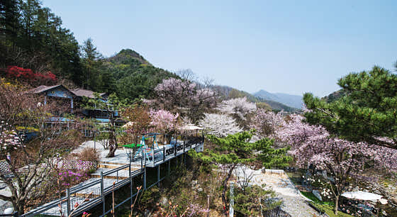 타샤의정원251 · 네이버 지도·플레이스 4