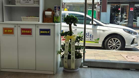 건강종합약국