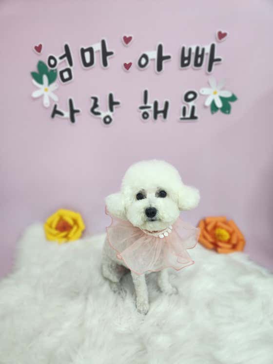 아이러브멍 · 네이버 지도·플레이스 10