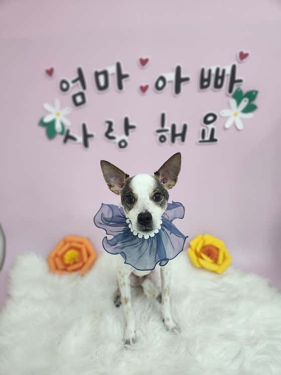 아이러브멍 · 네이버 지도·플레이스 9