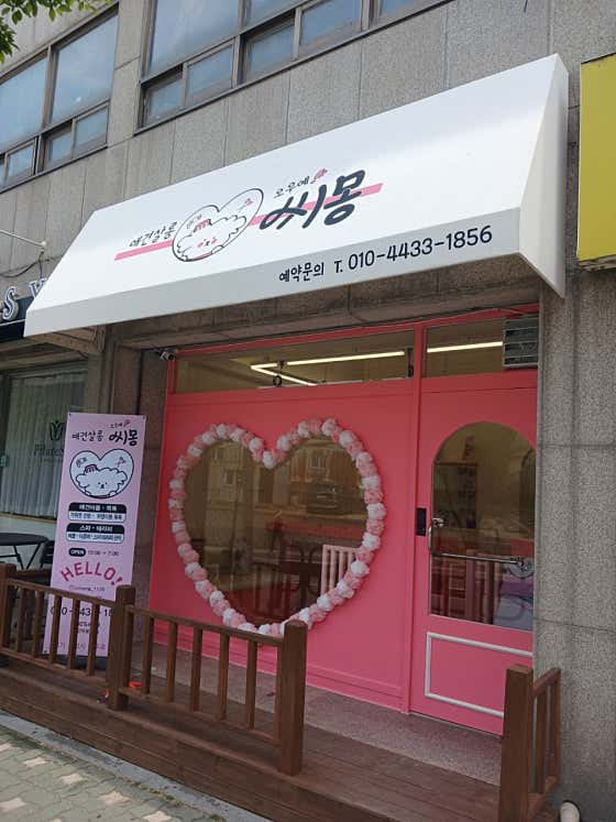 씨몽 · 네이버 지도·플레이스 2