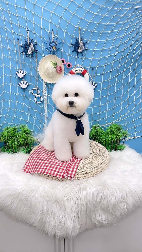 구루미 · 네이버 지도·플레이스 4