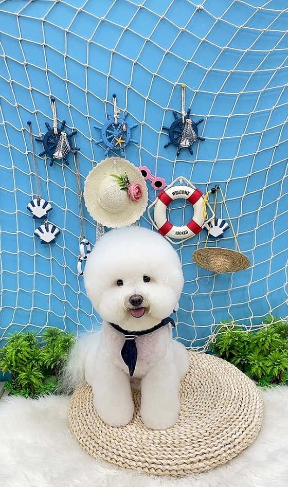 구루미 · 네이버 지도·플레이스 6