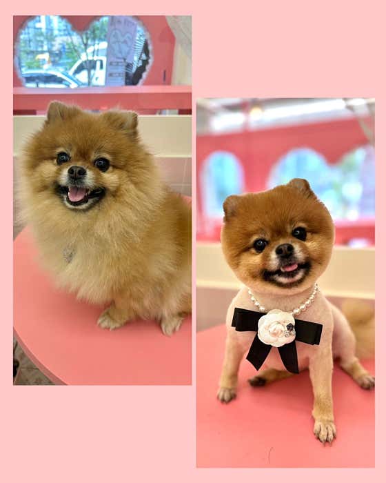 씨몽 · 네이버 지도·플레이스 10