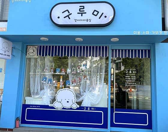 구루미 · 네이버 지도·플레이스 2