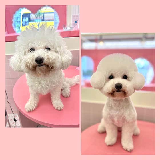 씨몽 · 네이버 지도·플레이스 9