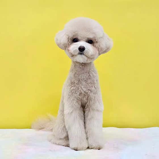 디어뭉 · 네이버 지도·플레이스 6