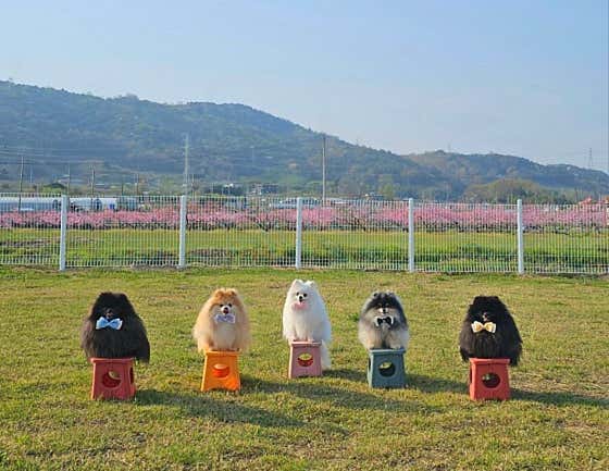 토루 · 네이버 지도·플레이스 3