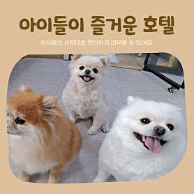 복이애견샵