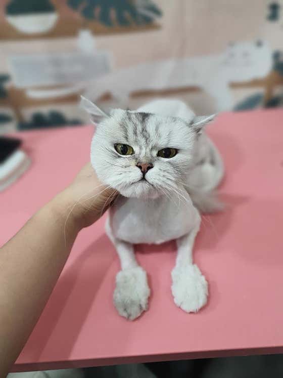 바둑아놀자 · 네이버 지도·플레이스 9