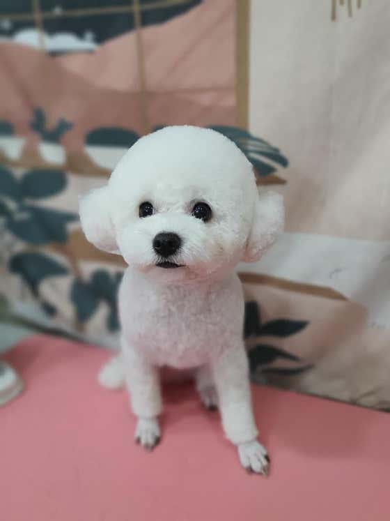 바둑아놀자 · 네이버 지도·플레이스 7
