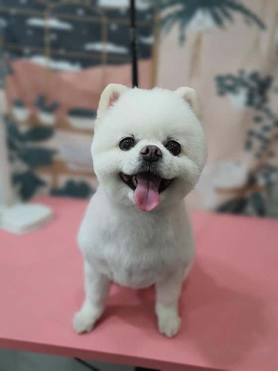 바둑아놀자 · 네이버 지도·플레이스 8