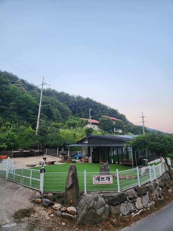 예쁘개 대표이미지