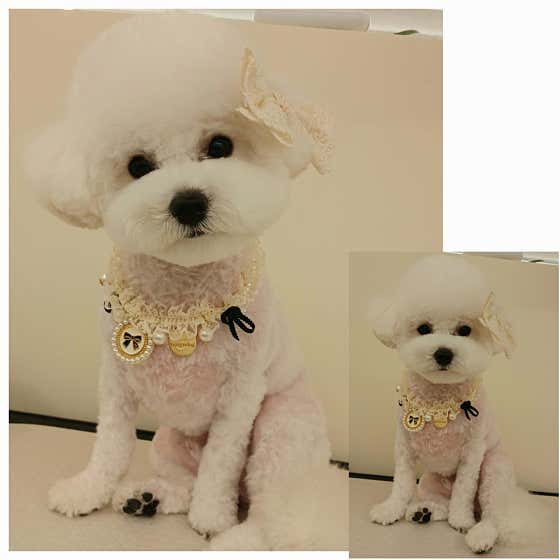 끌레르 · 네이버 지도·플레이스 2