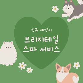 하니 그루밍 · 네이버 지도·플레이스 5