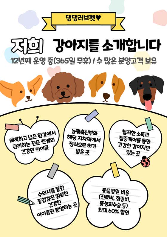 댕댕러브펫 · 네이버 지도·플레이스 6