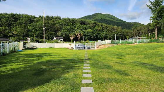 멍또와 · 네이버 지도·플레이스 4