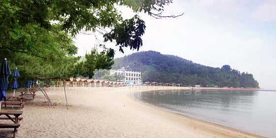 수기해수욕장야영장 대표이미지