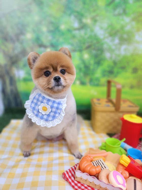 아이러브멍 · 네이버 지도·플레이스 2