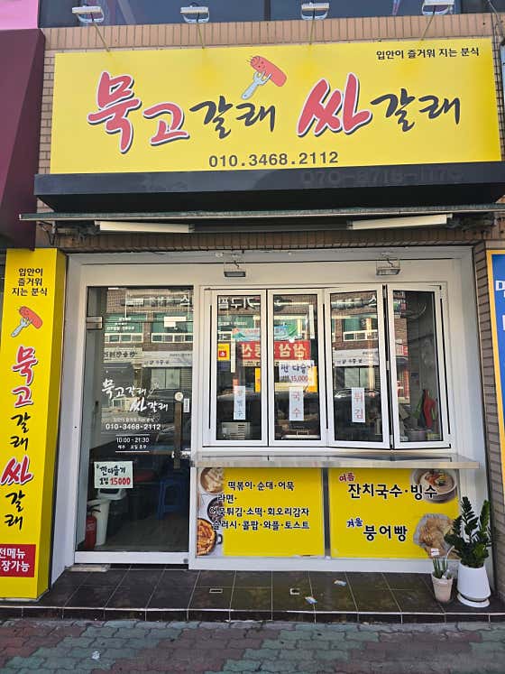 묵고갈래 싸갈래