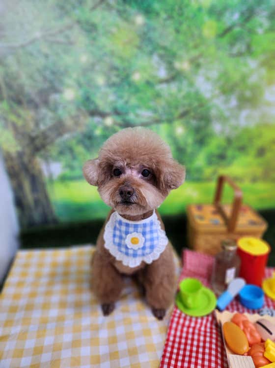 아이러브멍 · 네이버 지도·플레이스 4