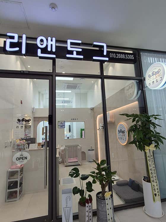 리앤도그 · 네이버 지도·플레이스 3