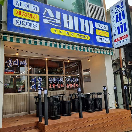 실비바 사진 2