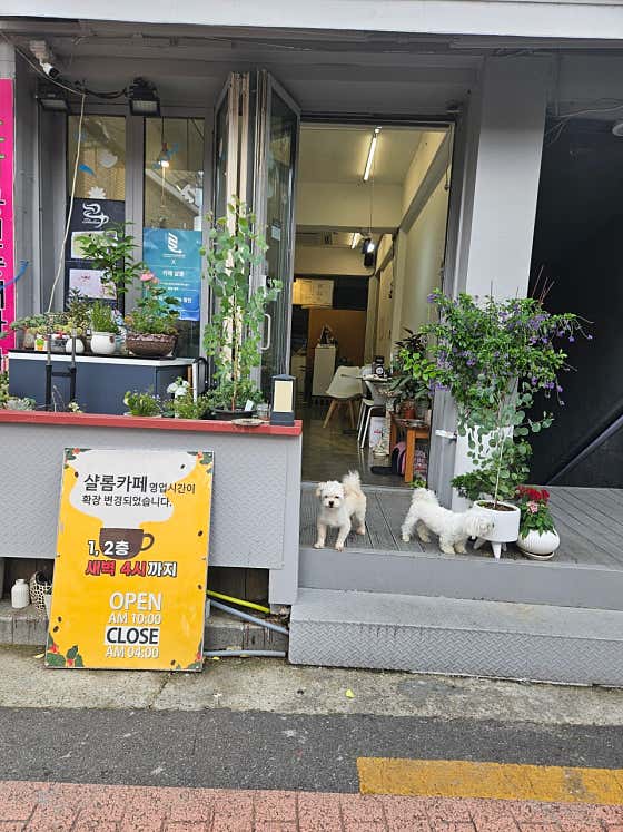 카페샬롬 · 네이버 지도·플레이스 10