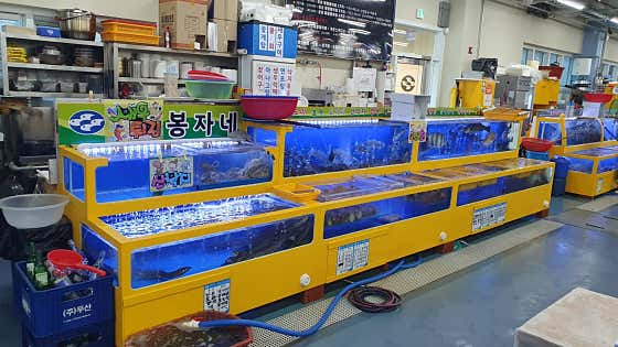 봉자네
