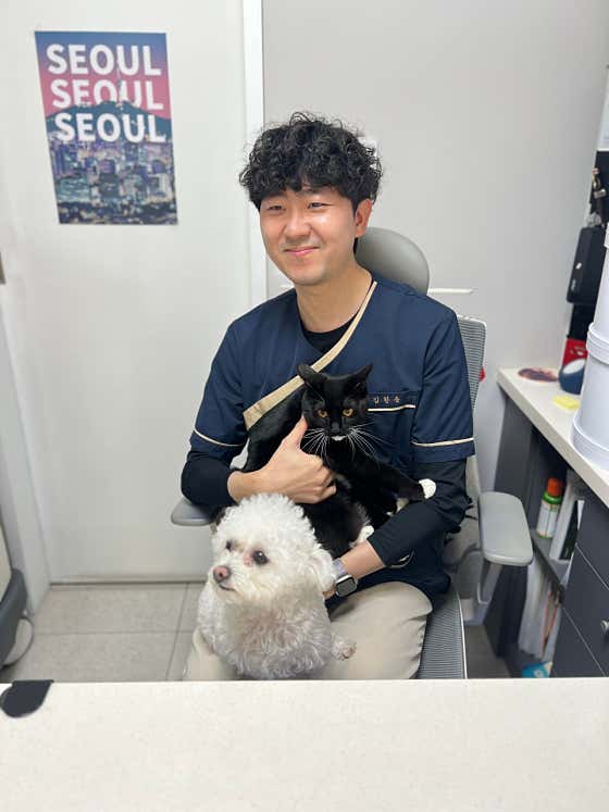 봄날동물병원 목동본점 대표이미지