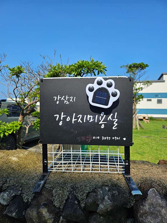 강삼지강아지미용실 · 네이버 지도·플레이스 2