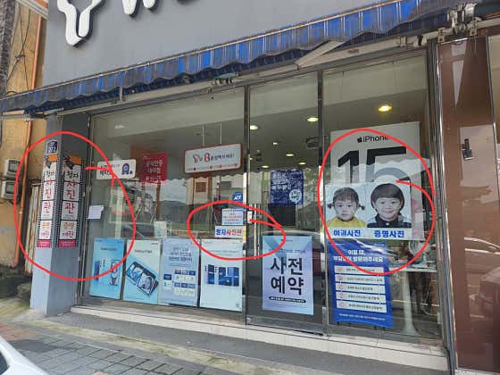 청자칼라사진관