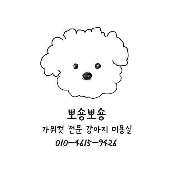 뽀숑뽀숑 대표이미지