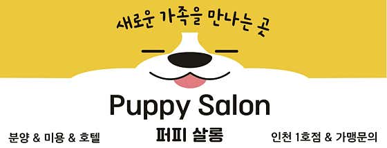 퍼피살롱 · 네이버 지도·플레이스 2