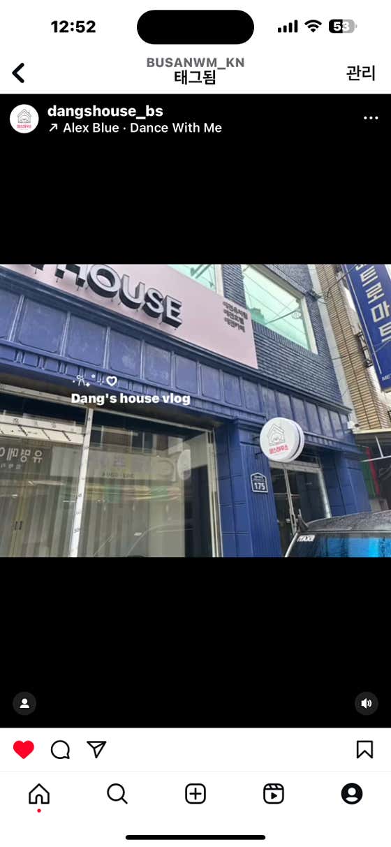 사하구애견미용 댕스살롱 · 네이버 지도·플레이스 4