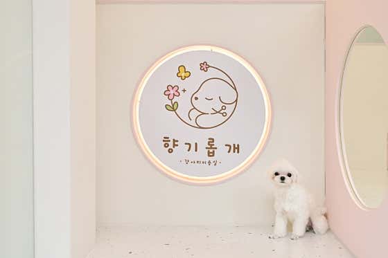향기롭개 · 네이버 지도·플레이스 3