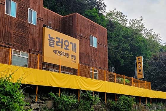 놀러오개 애견유치원 애견호텔 고기점 · 네이버 지도·플레이스 6
