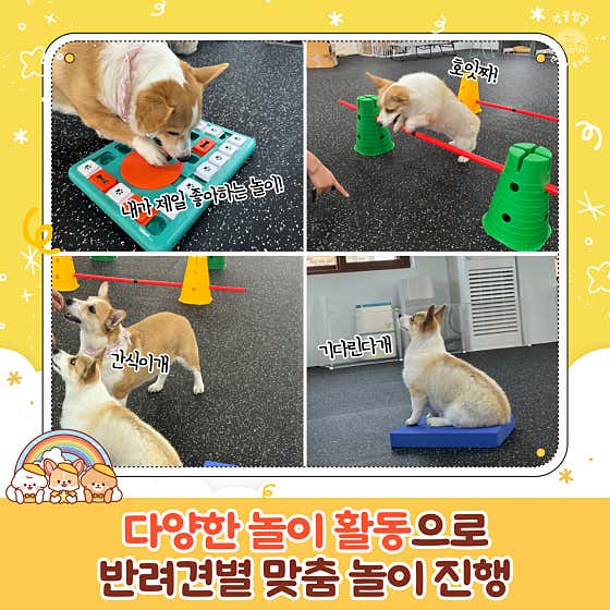 멍굴멍굴 · 네이버 지도·플레이스 6