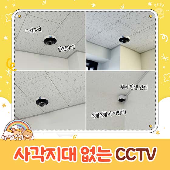 멍굴멍굴 · 네이버 지도·플레이스 9