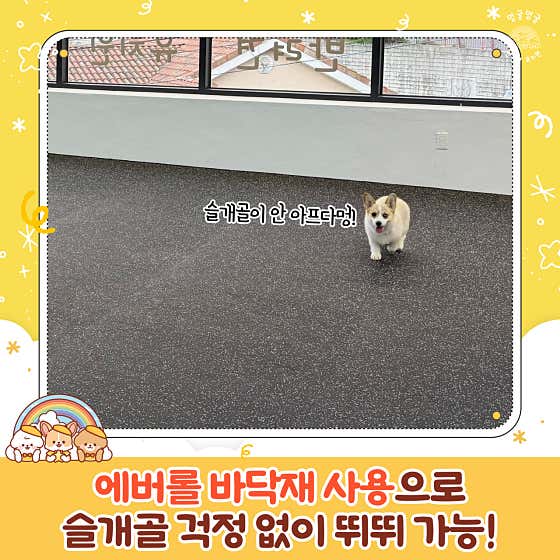 멍굴멍굴 · 네이버 지도·플레이스 7