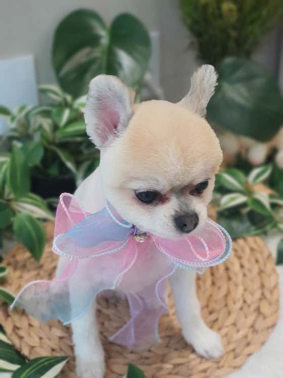 별몽 · 네이버 지도·플레이스 9
