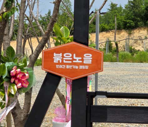 붉은노을 대표이미지