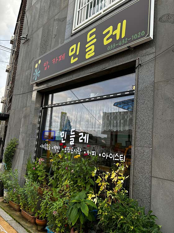 민들레